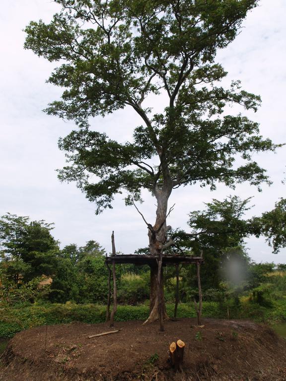Welimaluwa Resort Sigiriya Kibissa Bagian luar foto