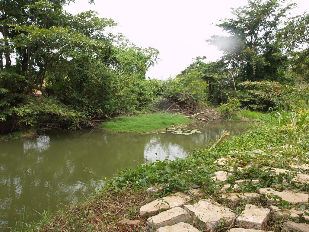 Welimaluwa Resort Sigiriya Kibissa Bagian luar foto